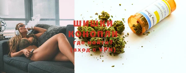 хмурый Бородино