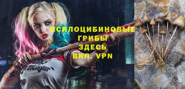 сатива Богородск