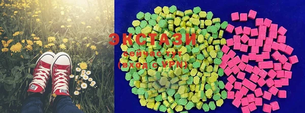 дживик Богородицк