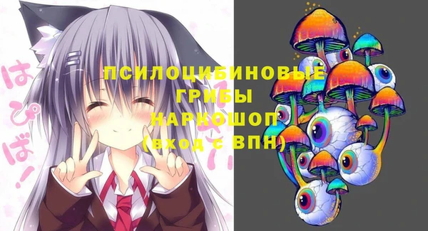 дживик Богородицк