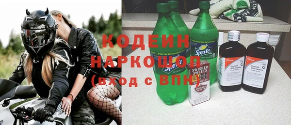хмурый Бородино