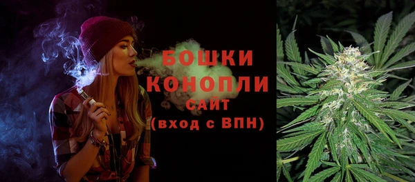 хмурый Бородино