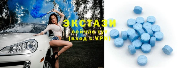 дживик Богородицк